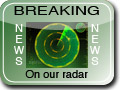Email Newsletter