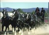 <p>Arlin Wareing's son, Wayne Wareing, left, and grandson, Jeremy Howell, drive a team of six Shire horses. The whole family helps show the animals at various competitions around the country.</p>
