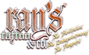 Ray's Tattoo & Company