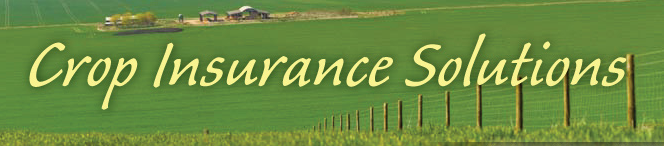 Crop Insurance Solutions