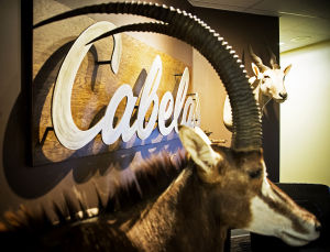 Hedge fund buys big stake in Cabela's