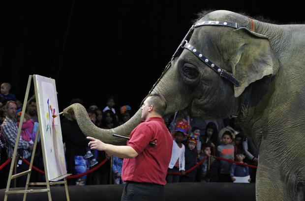 An elephant paints as trainer Joey Frisco stands nearby, during a pre-show performance of the Ringling Bros. and Barnum & Bailey Circus in March 2015 in Washington. The company will present "Circus XTREME" in June at the Pinnacle Bank Arena.