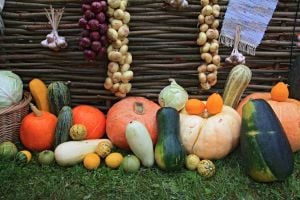 Homefront: Pumpkins, home tours and year-end garden questions