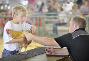 Poultry returns to the Lancaster County Fair