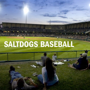 Saltdogs fall back into tie for division lead