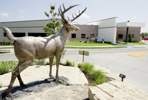 Cabela's Lincoln-based bank operation could be in play, experts say