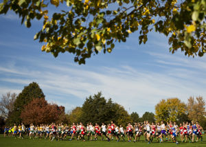 State cross country: Meet schedule