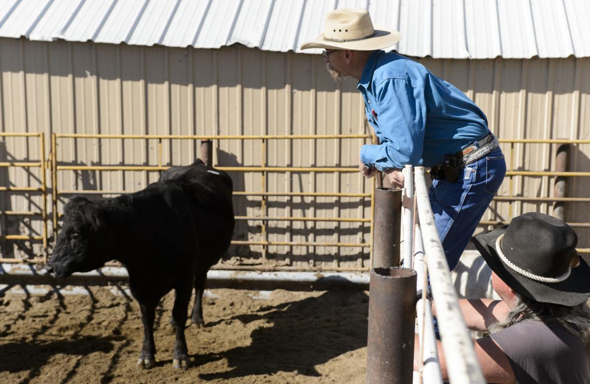 Huss Livestock Market Repricing Executive Stock Options In A Down Market