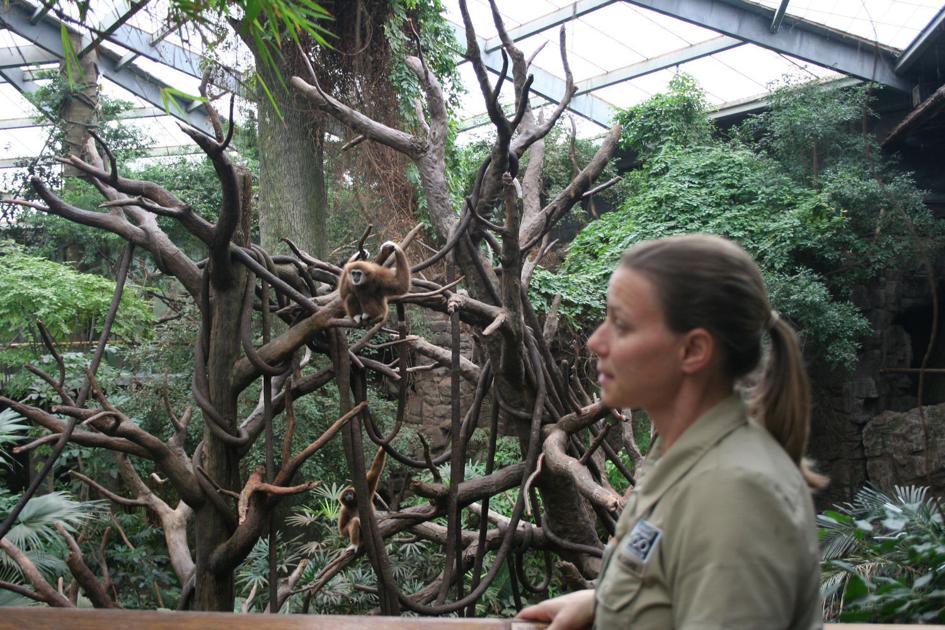 Henry doorly zoo coupons