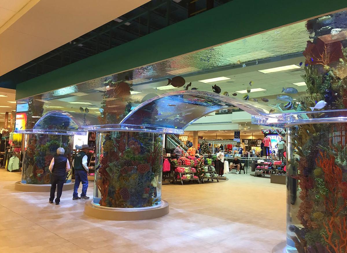 Scheels coupons in store