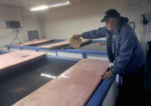 RACINE — The former Downtown aquaponics business, Natural Green 