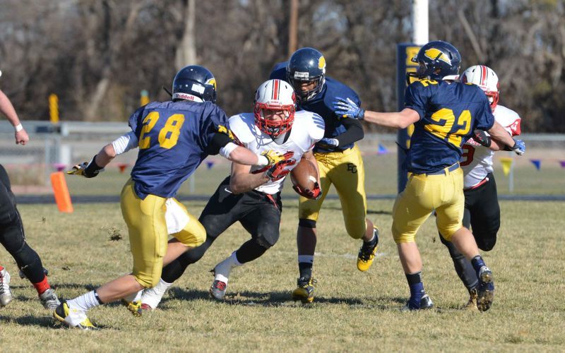 Elm Creek football falls to Hemingford in D1 semifinal Kearney Hub Local