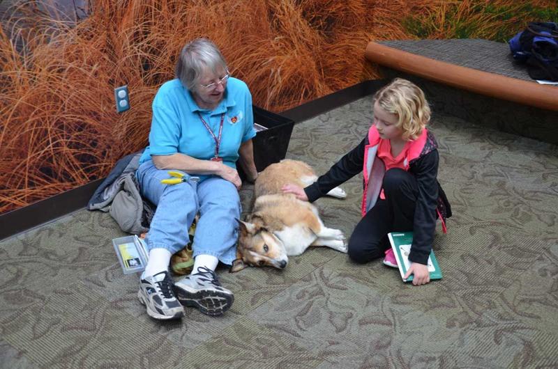 Paws to Read