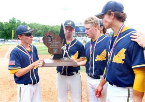 Blugolds fall in championship game