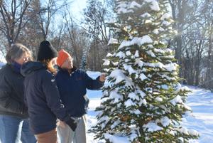 Hilliker Tree Farm helps area residents celebrate Christmas