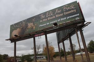 New elk billboard campaign under way