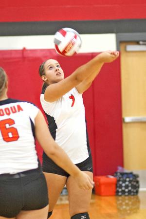 Hawk volleyball team defeats Luther
