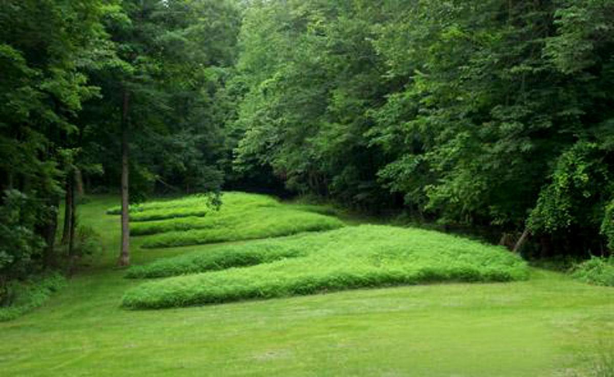 Agency Buries Blistering Report On Effigy Mounds Scandal Local 