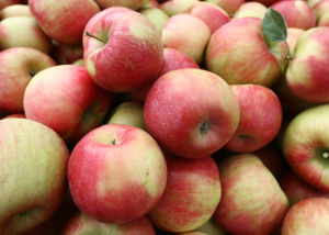 Location important for apple growers hit by weekend cold snap