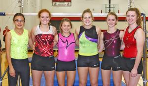 Westby gymnastics lack numbers, not desire
