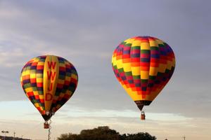 Texans: Ready to hunt hogs from hot air balloons?