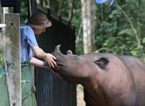 BRF grad’s career spans world as rhino veterinarian (copy)