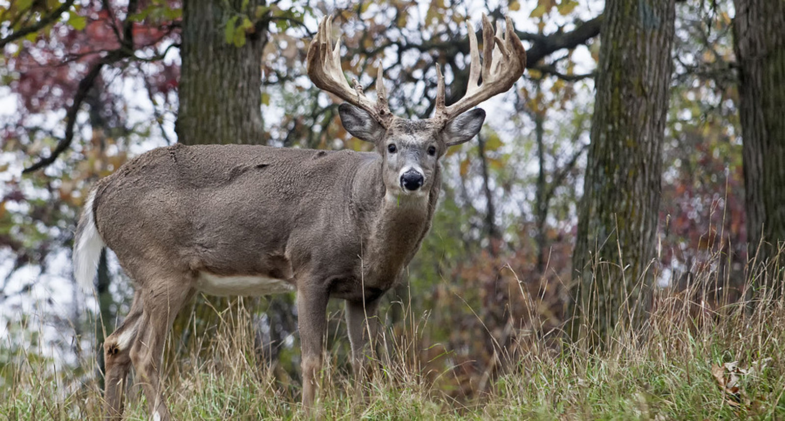 wi dnr jobs