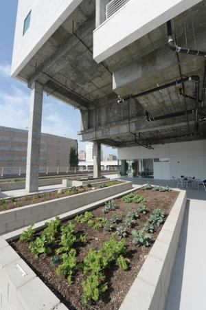 With Star Apartments Skid Row Gets A Stunning Housing