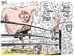 Urban Scrawl on Jerry Brown's Budget
