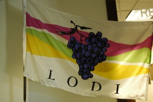 Lodi flag still flying high after 18 years