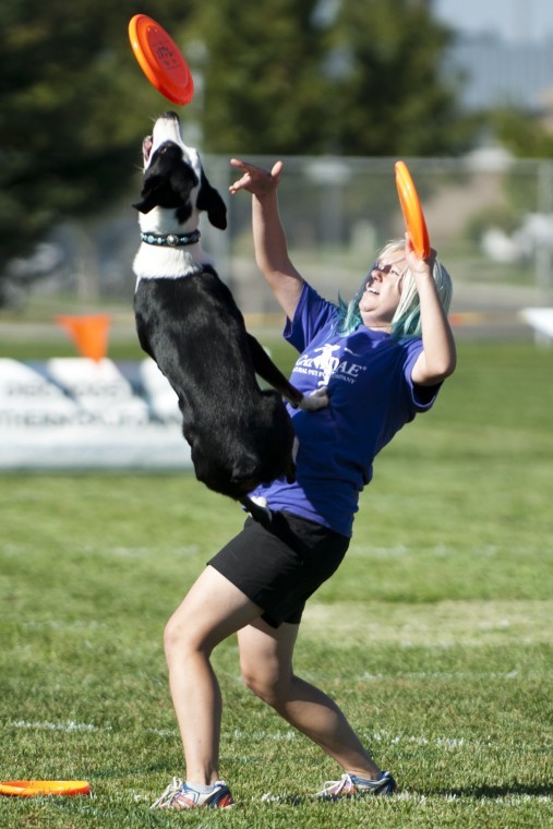 Jumping for joy: California dogs go for a state title in disc competition