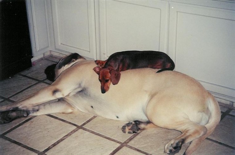 Nap Time