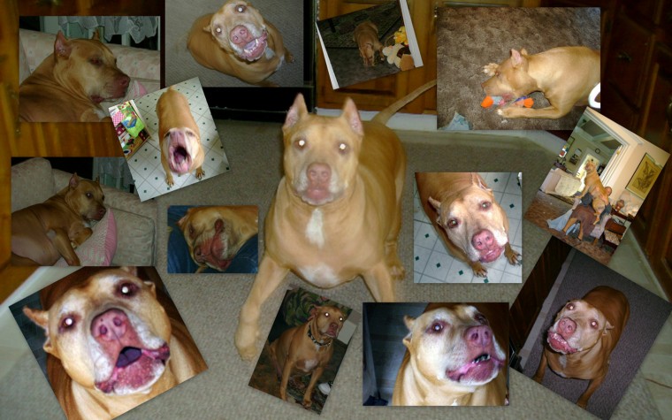 That's my girly girl! The many faces of Ayla