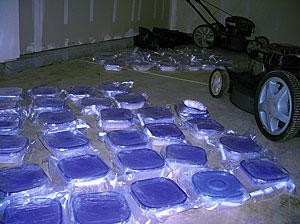 100 lbs. of meth seized  