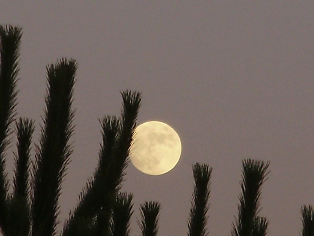 Moon