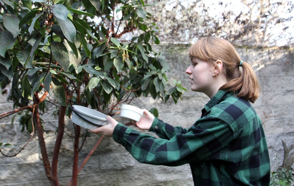 News-Sentinel reporters play zookeepers for a day