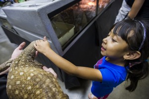 A grand time at the Lodi Grape Festival