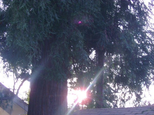 dsc00042.jpg