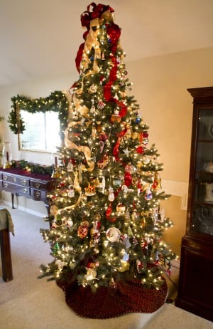 In these Lodi homes, finding Christmas spirit is easy