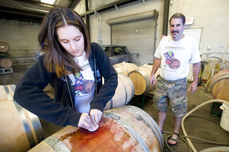 Toasted Toad hops on to Lodi wine scene