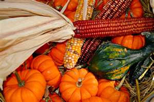 Celebrate the fall season with these five traditional activities