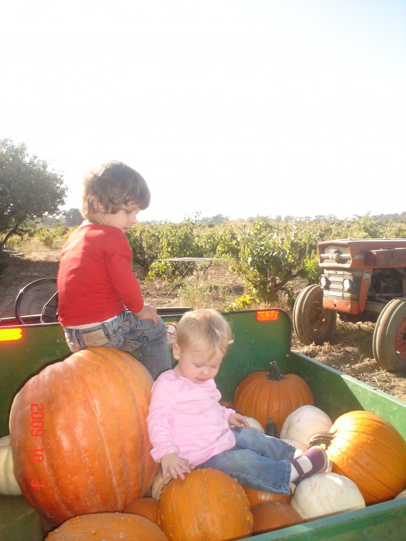 Noah and Lilah Hibdon climbing on the pumpkins