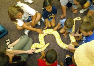 Brad's World Reptiles will return to the festival with alligator in tow 