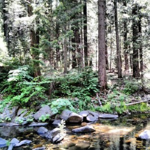 Bask in the sun near a babbling brook at PiPi Valley
