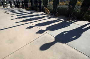 Fallen Galt Police Officer Kevin Tonn Laid To Rest : The shadows of officers and their dogs are cast along the path as people arrive for the funeral of Galt Police Officer Kevin Tonn at Adventure Community Church in Roseville on Monday, Jan. 21, 2013.
 - Photo by Dan Evans/News-Sentinel