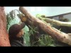 I'll Do It: Zookeepers