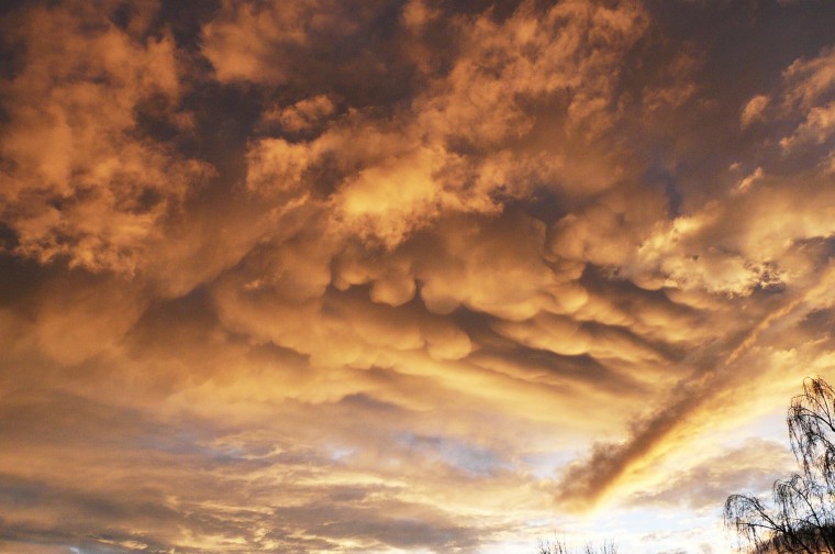 Storm Coulds
