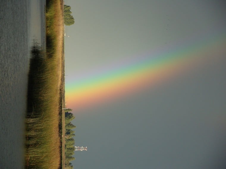 Rainbow over the Delta