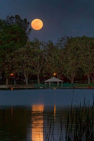 Supermoon over Lodi Lake