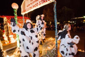 Parade lights up Lodi